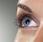 Blue Eye on Grey Background